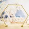 Heavy Duty Metal Hexagon Arch Wedding Backdrop Stand Flower Balloon Decor Frame
